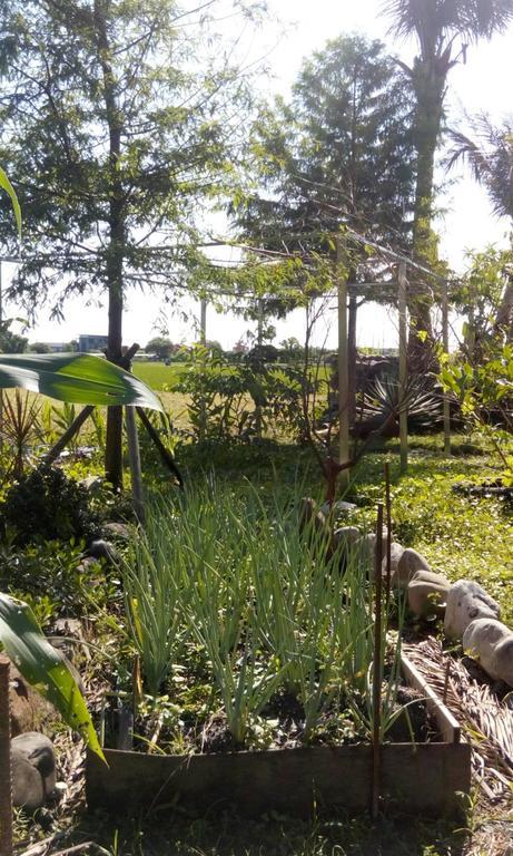Hasayaki Homestay Sanxing Extérieur photo